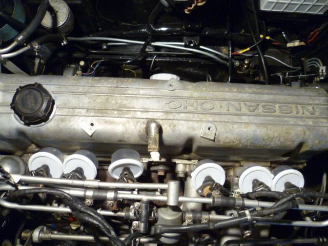 P1100286.JPG